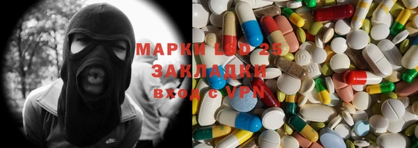 молекула духа Арсеньев