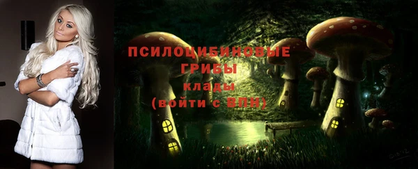 PSILOCYBIN Армянск