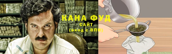 молекула духа Арсеньев