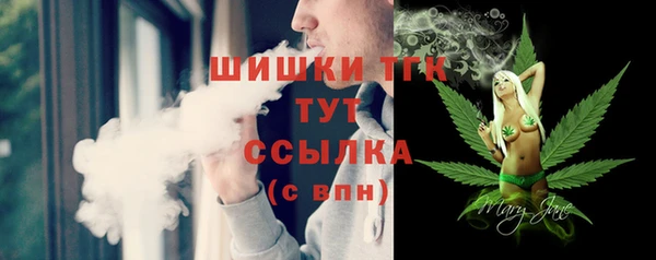 молекула духа Арсеньев