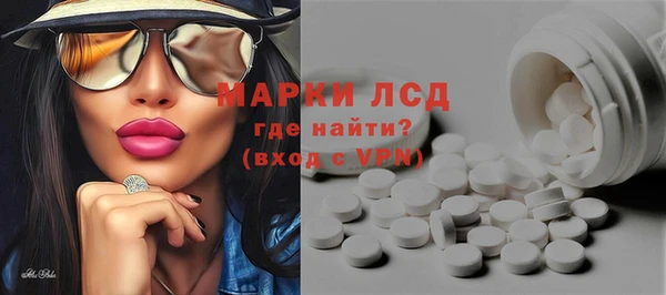 молекула духа Арсеньев