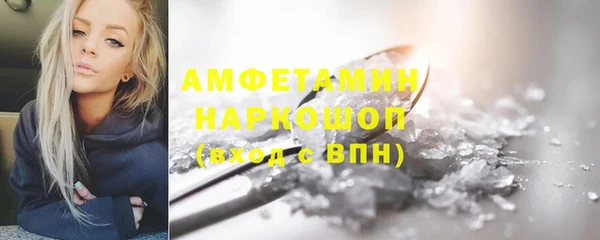 молекула духа Арсеньев