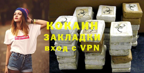 молекула духа Арсеньев