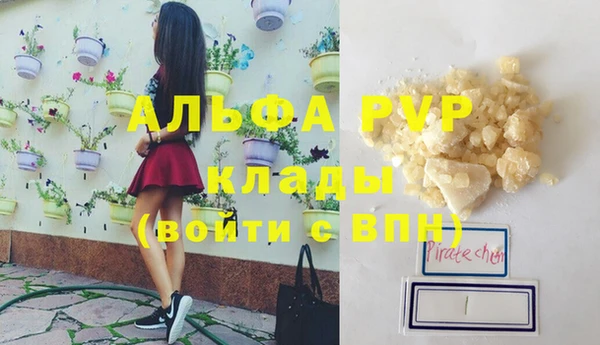 молекула духа Арсеньев