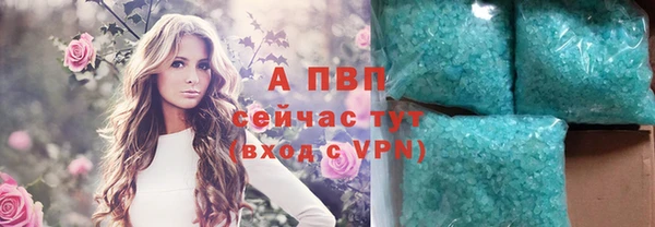 PSILOCYBIN Армянск