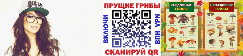 kraken tor  закладки  Сольвычегодск  Галлюциногенные грибы Magic Shrooms 
